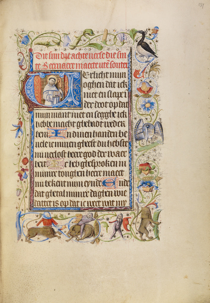 Unknown:Initial V: Saint Bernard, Poster Print Wall Art