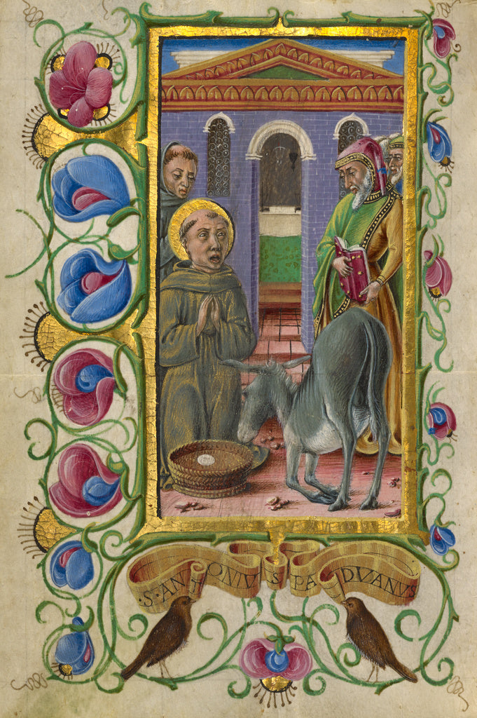 Taddeo Crivelli:Saint Anthony of Padua, Poster Print Wall Art