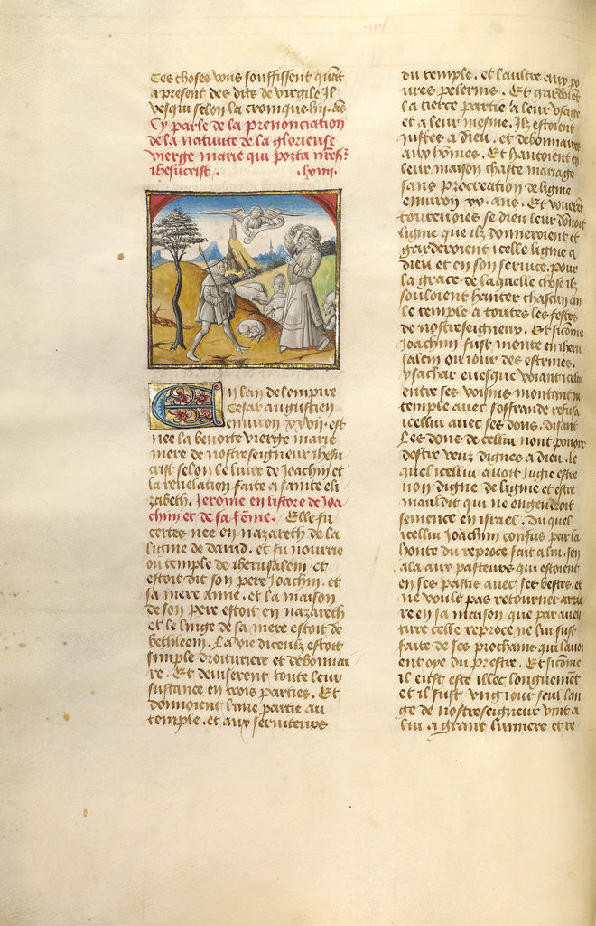 Unknown:The Annunciation to Joachim, Poster Print Wall Art
