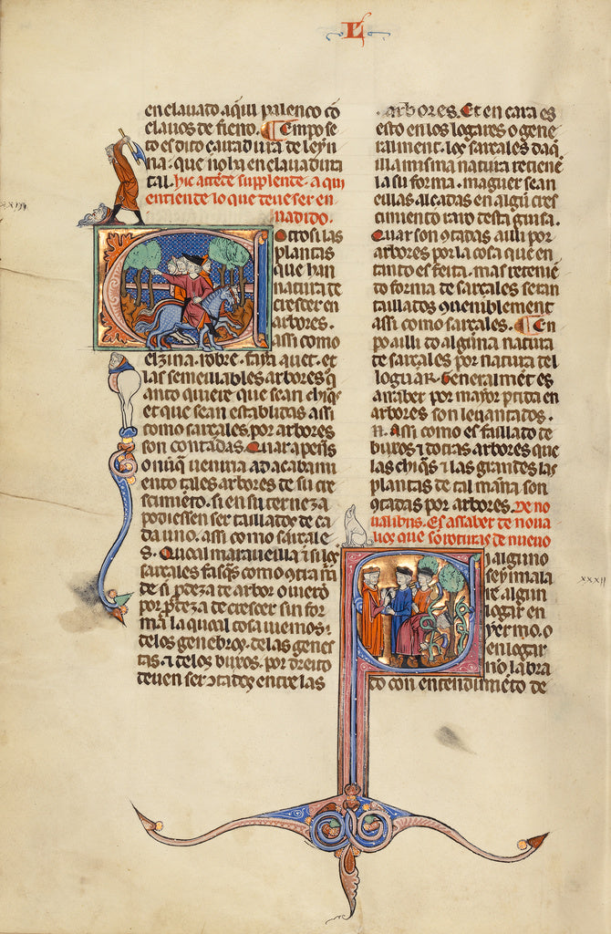 Michael Lupi de ÇandiuUnknown:Initial E: Riders on Horsebac, Poster Print Wall Art