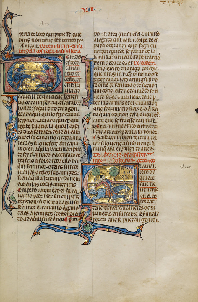 Michael Lupi de ÇandiuUnknown:Initial T: A Joust between Tw, Poster Print Wall Art