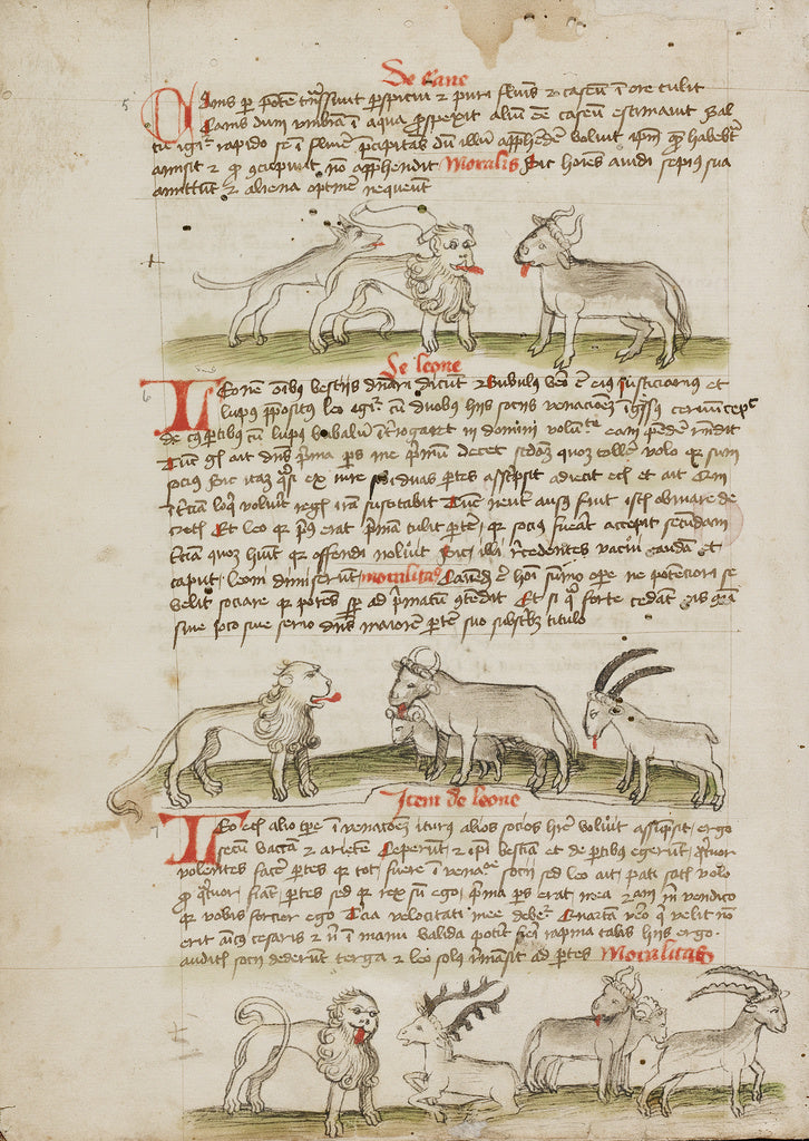 Unknown Artist:A Lion between a Wolf and an Ox; A Lion before a Cow, Poster Print Wall Art