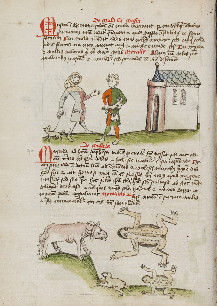 Unknown Artist:A Man with a Weasel on a Leash; An Ox, Frogs, and To,16x12