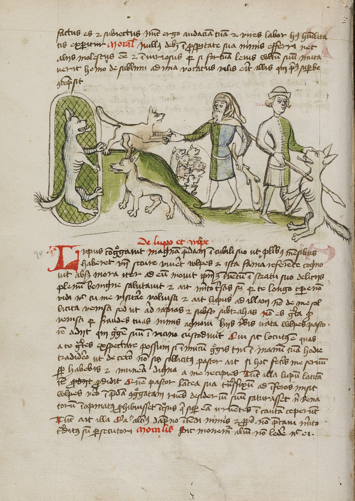 Unknown:An Imprisoned Wolf and a Fox and Many Dogs Nearby; A, Poster Print Wall Art