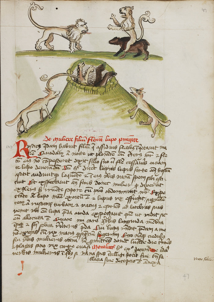 Unknown Artist:A Lion Standing on the Back of a Bear; Two Foxes in ,16x12