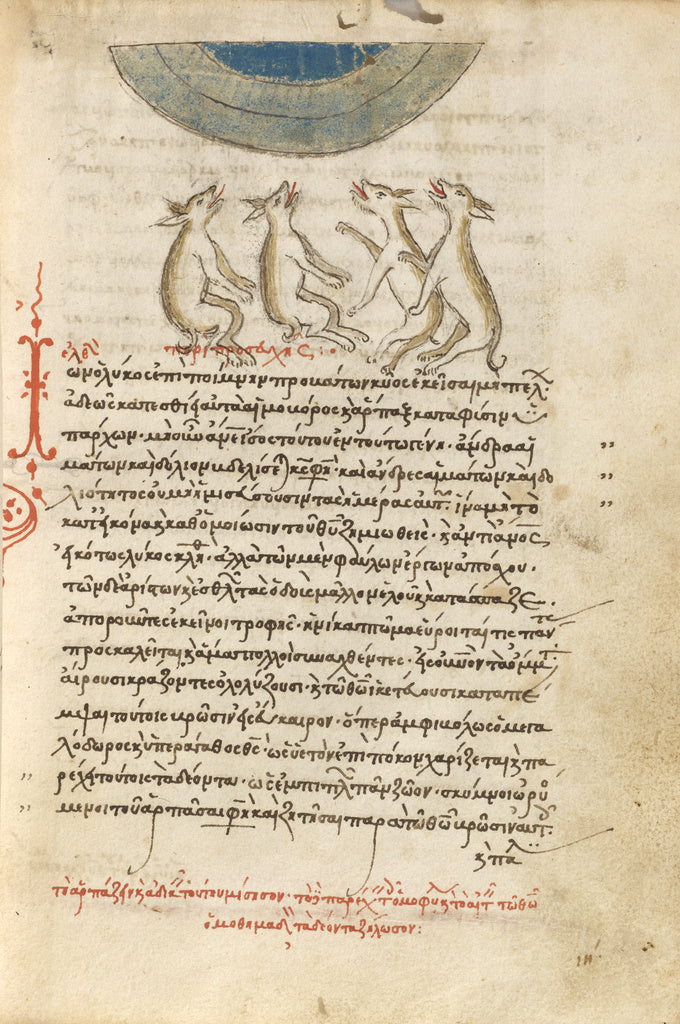 Unknown:Four Wolves, Poster Print Wall Art