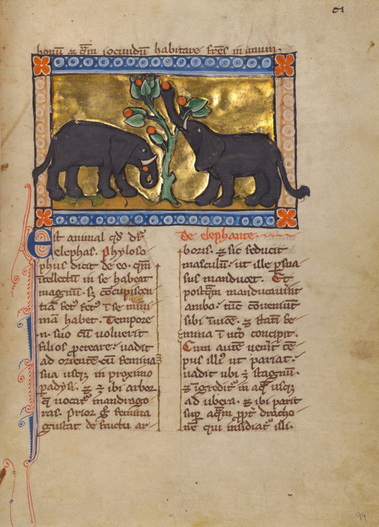 Unknown:Two Elephants, Poster Print Wall Art