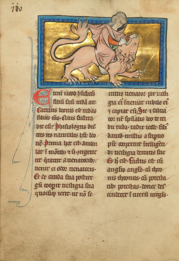 Unknown:Samson Fighting a Lion, Poster Print Wall Art