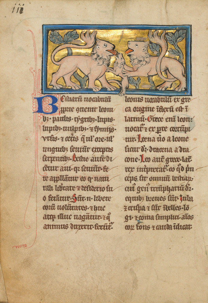 Unknown:Two Lions Reviving their Dead Cubs, Poster Print Wall Art