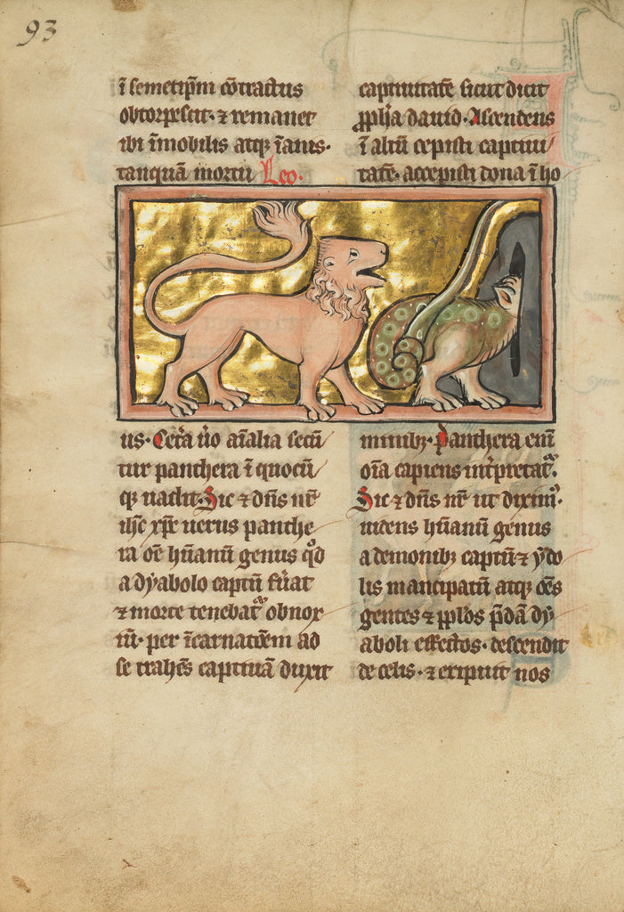 Unknown Artist:A Lion and a Winged Dragon, Poster Print Wall Art