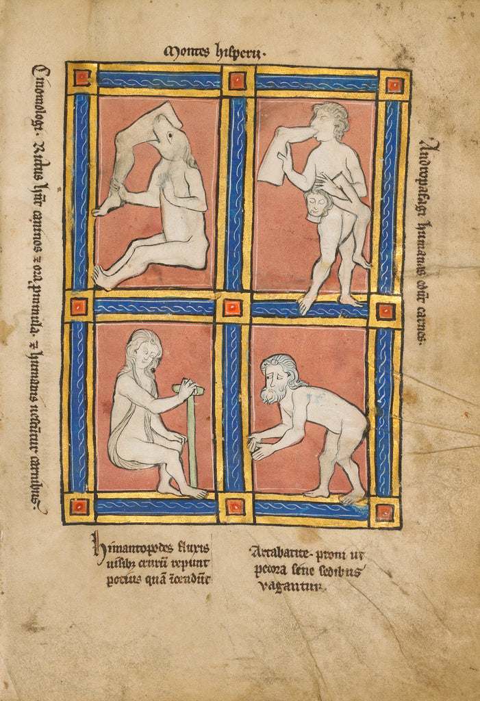Unknown:Cinomologus; Anthropophagus; Himantopode; Artabatite, Poster Print Wall Art