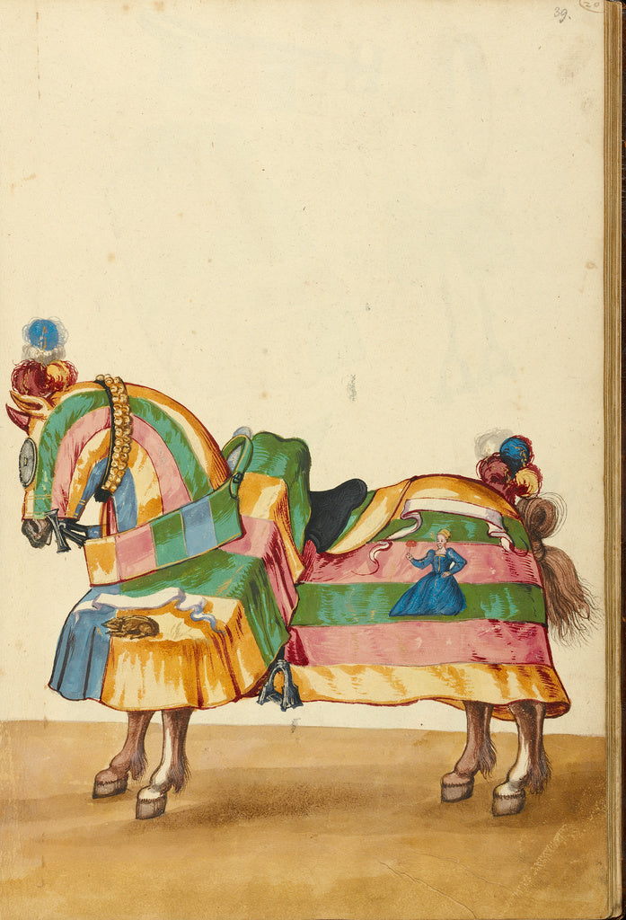 Unknown:A Horse in Armor,16x12"(A3)Poster