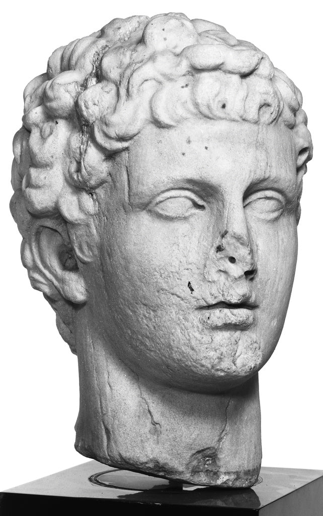 Unknown:Head of a Youth, Poster Print Wall Art