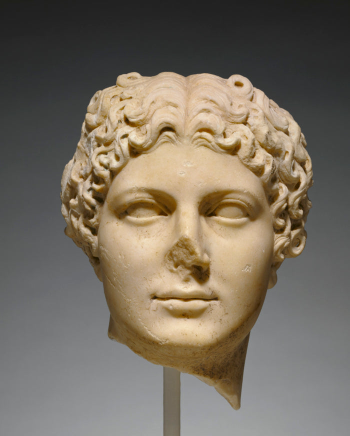 Unknown:Portrait Head of Agrippina the Younger,16x12