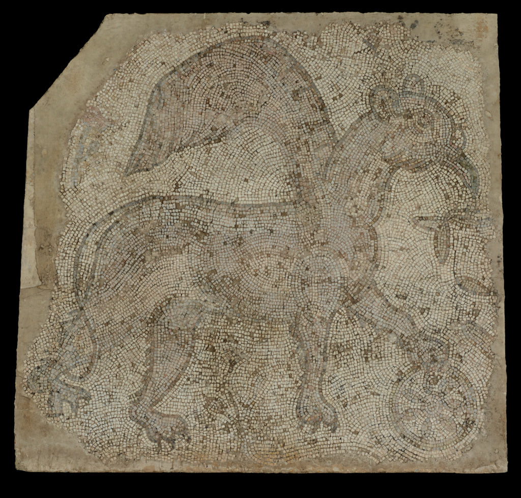 Unknown:Fragmentary Mosaic of a Griffin with Spoked Wheel (N, Poster Print Wall Art