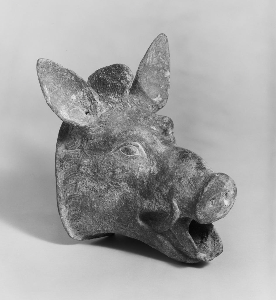 Unknown:Boar's Head Waterspout, Poster Print Wall Art