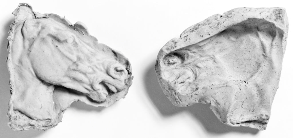 Unknown:Mold of the Right Side of a Horse's Head, Poster Print Wall Art