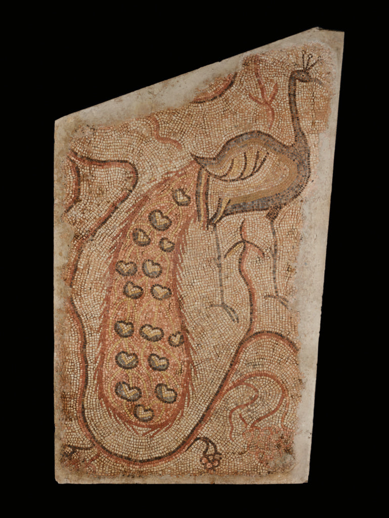Unknown:Mosaic Fragment with Peacock Facing Right, Poster Print Wall Art
