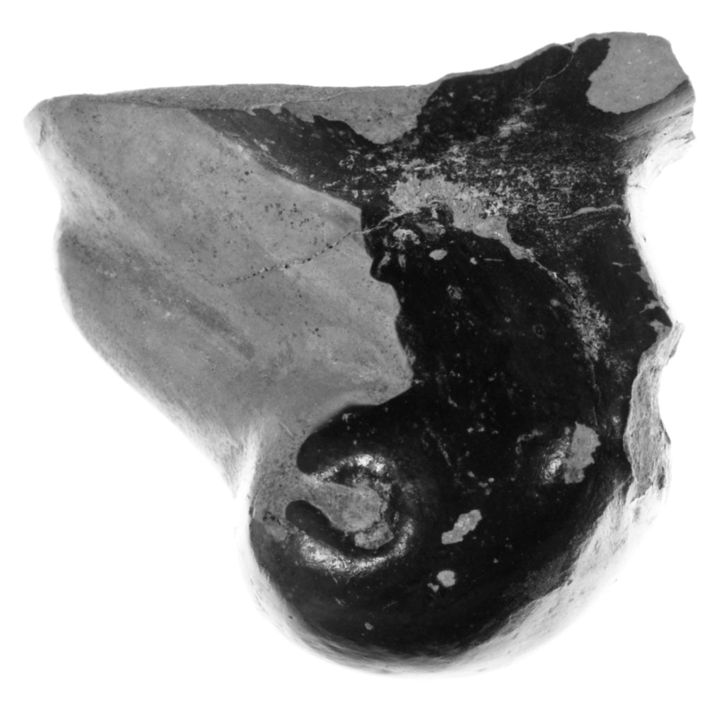 Unknown:Fragment from an Etruscan Plastic Vase, Poster Print Wall Art