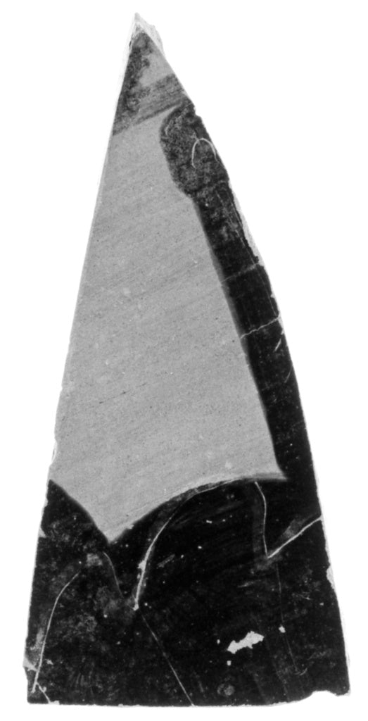 Unknown:Attic Black-Figure Vase Fragment,16x12