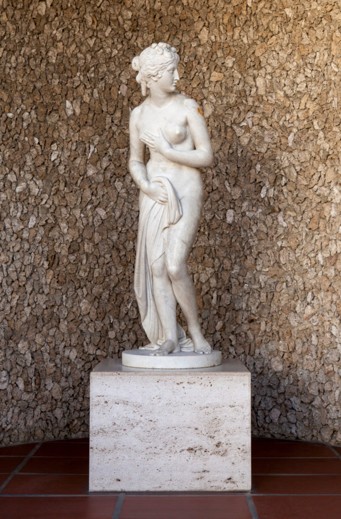 Unknown:Reproduction of a Neo-Classical Statue of Venus,16x12