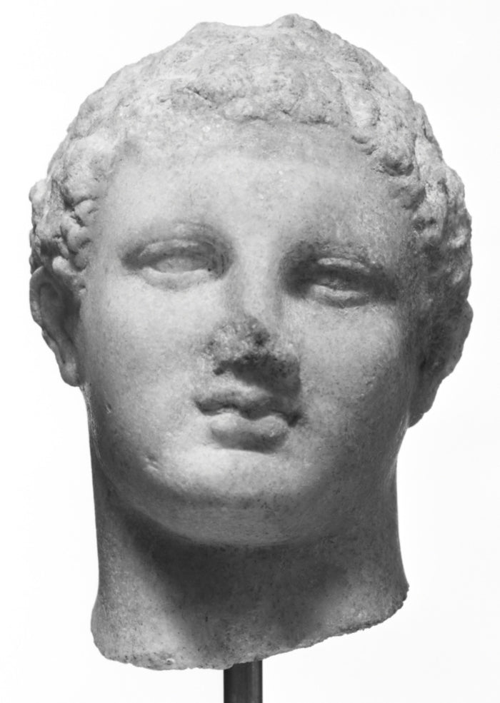 Unknown:Head of a Statuette of  Demetrios Poliorketes,16x12