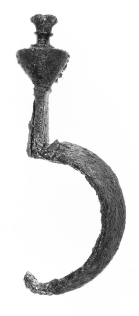 Unknown:Fibula, Poster Print Wall Art