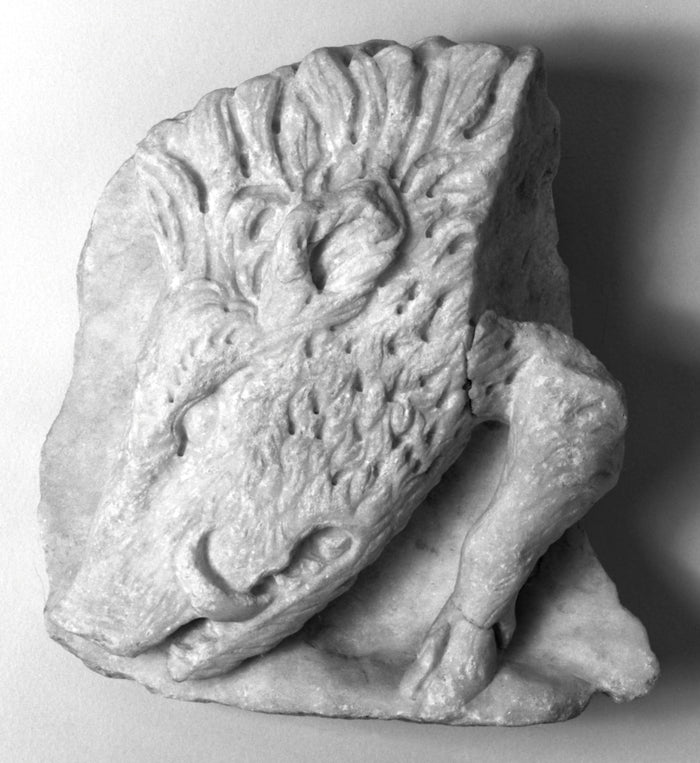 Unknown:Fragment of a Sarcophagus with the Head of a Boar,16x12