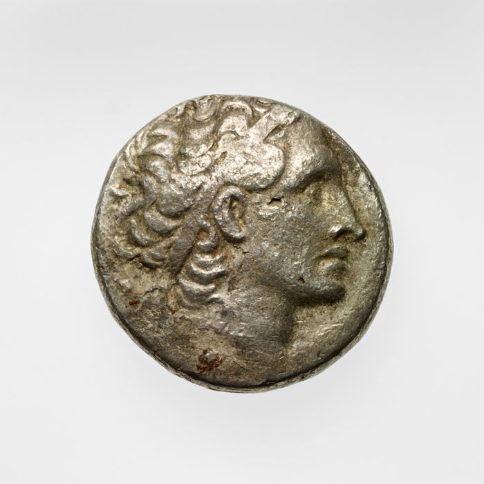 Unknown:Tetradrachm with Ptolemy XIII (?),16x12