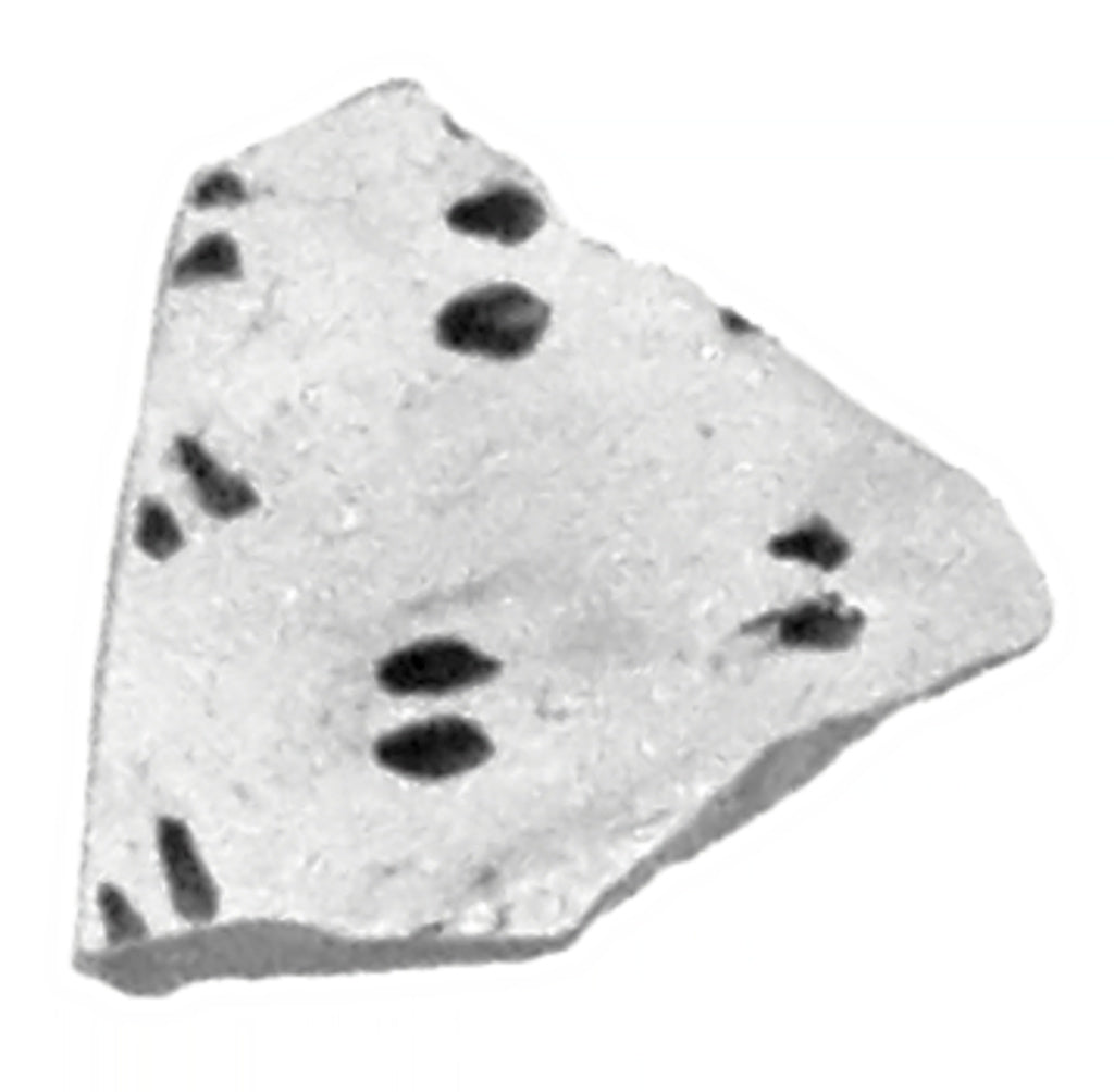 Unknown:Attic Red-Figure Duck Askos Fragment, Poster Print Wall Art