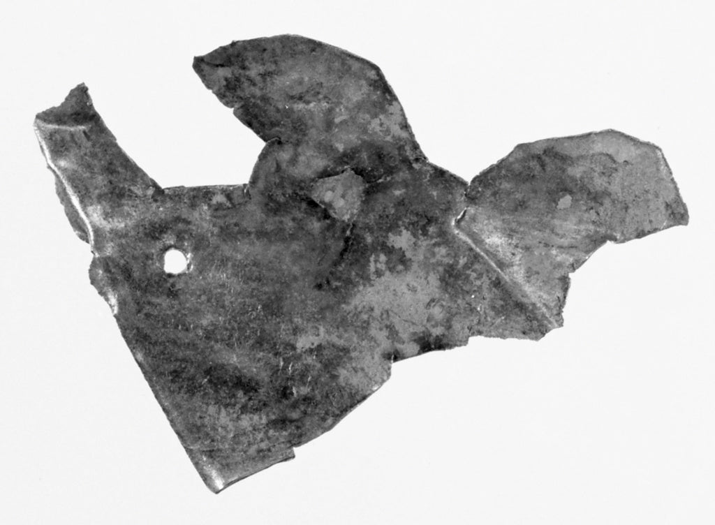 Unknown:Part of Belt Buckle, Poster Print Wall Art