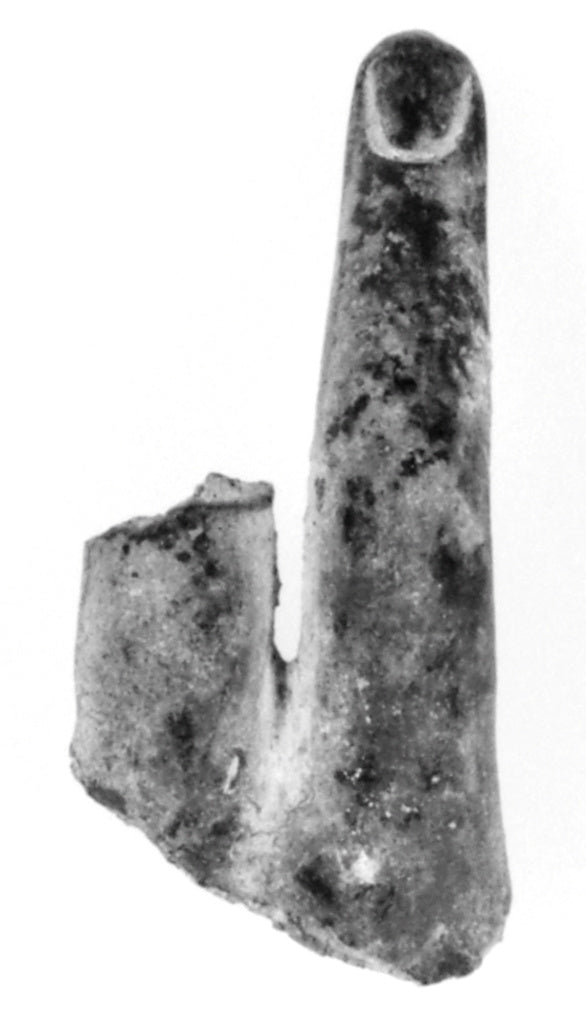 Unknown:Statue Fragment: Left Index Finger, Poster Print Wall Art