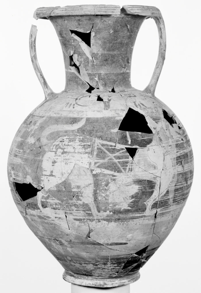 Monte Abbatone Group:Black-Figure Neck Amphora,16x12
