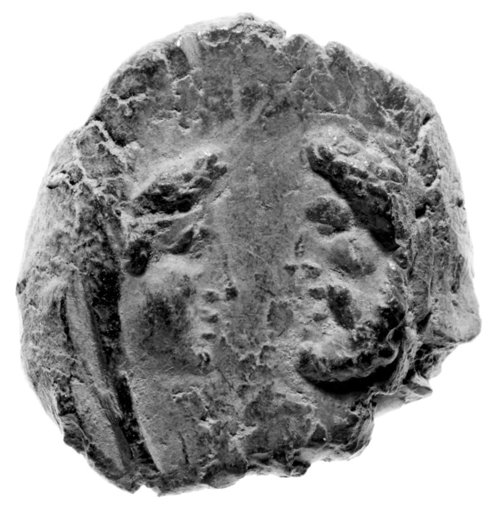 Unknown:Dark Brown Clay Seal, Poster Print Wall Art