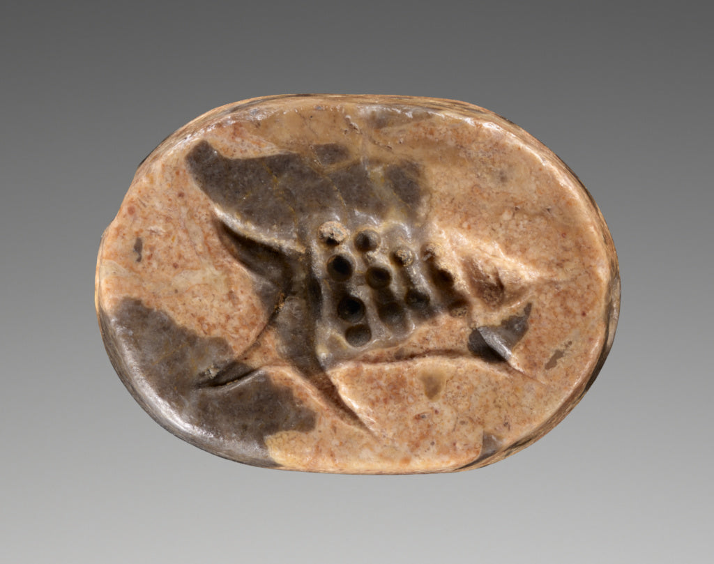Unknown:Engraved Scaraboid with Seashell, Poster Print Wall Art