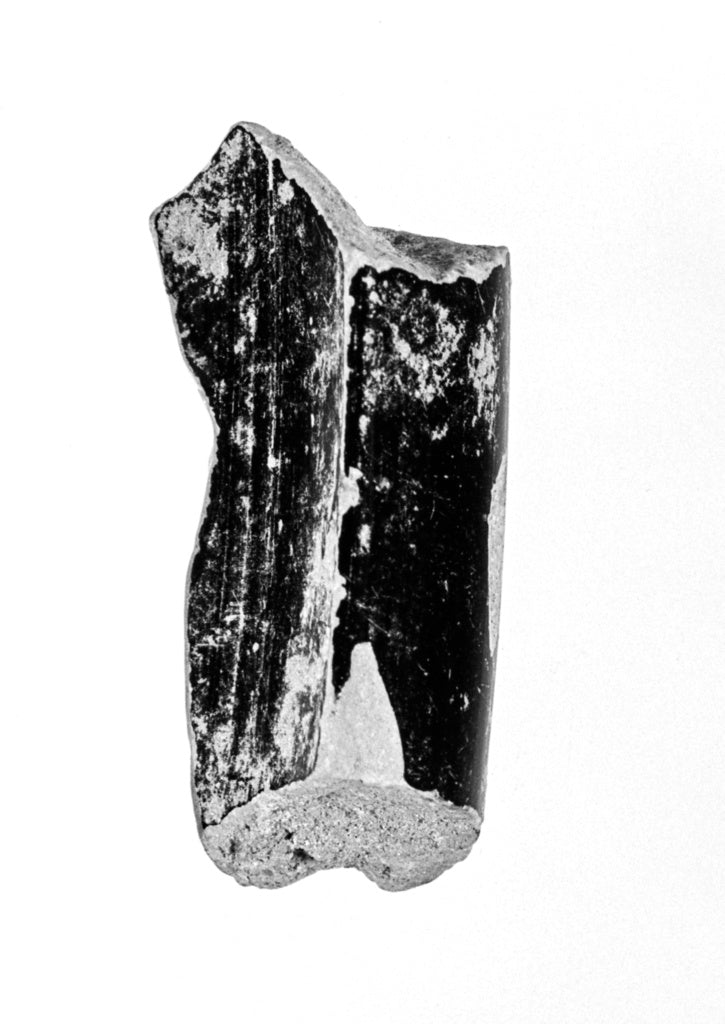 Unknown:Attic Krater Fragment, Poster Print Wall Art