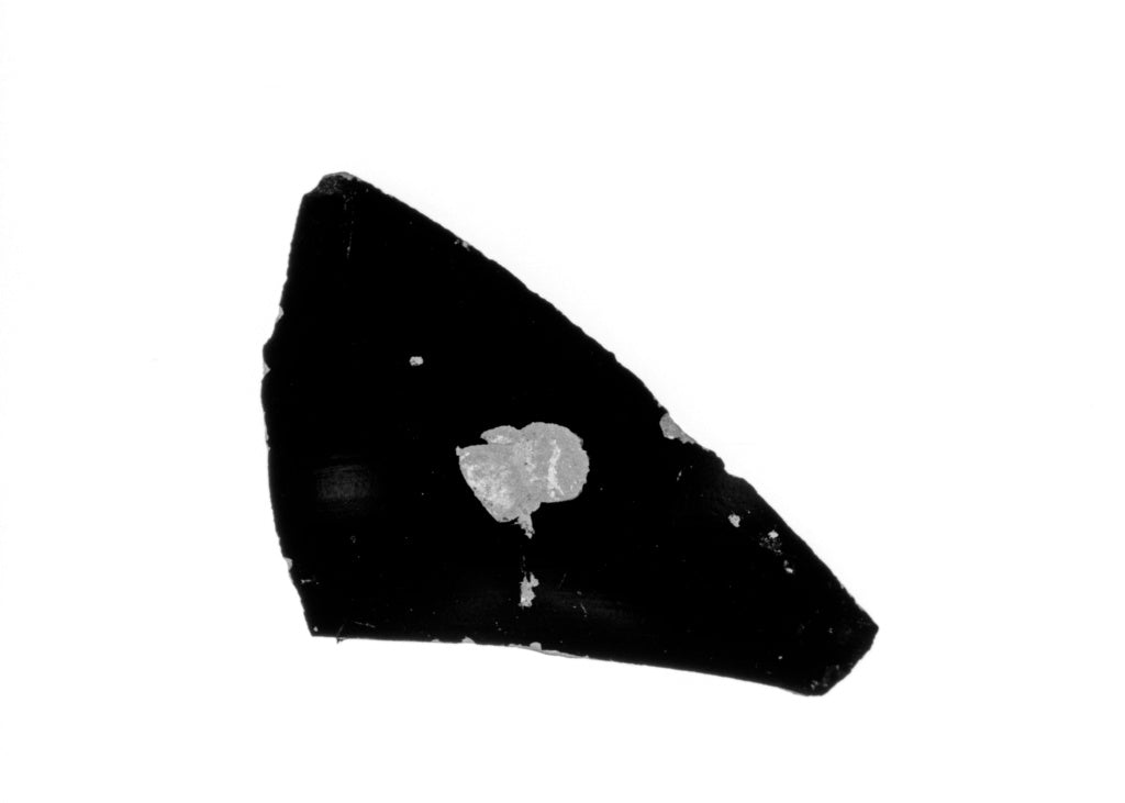 Unknown:Lekythos Fragment, Poster Print Wall Art