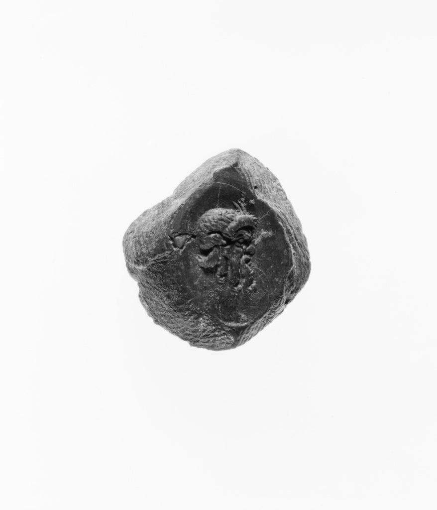 Unknown:Brown Clay Seal, Poster Print Wall Art