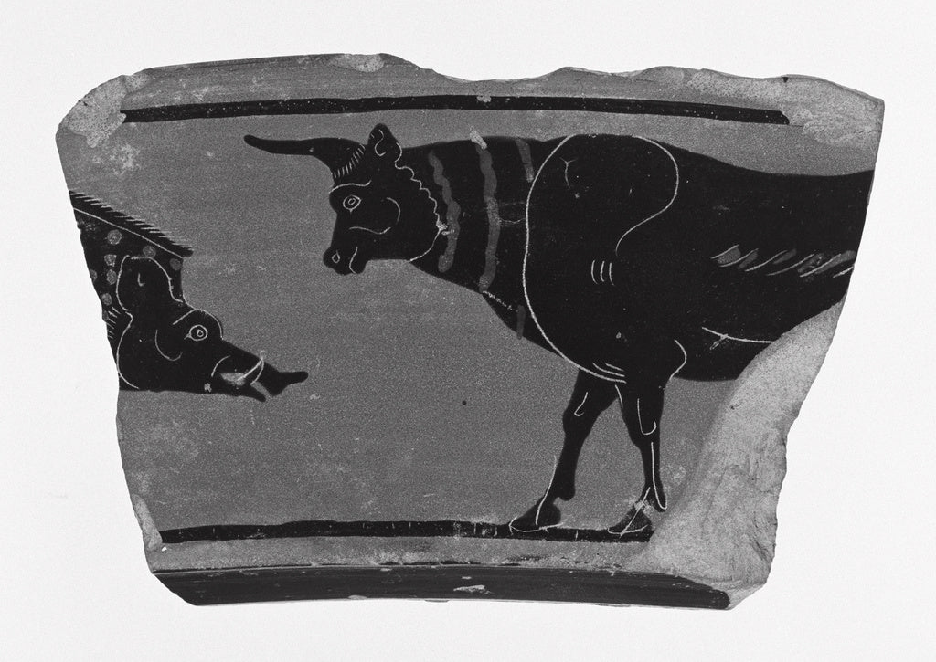 Unknown:Attic Black-Figure Volute Krater Fragment, Poster Print Wall Art