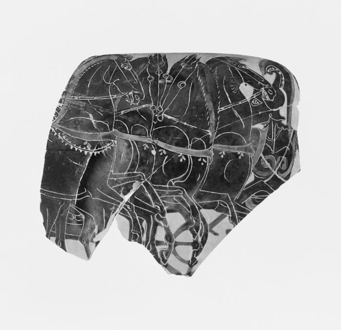 Class of Vatican G.47:Attic Black-Figure Oinochoe Fragment,16x12
