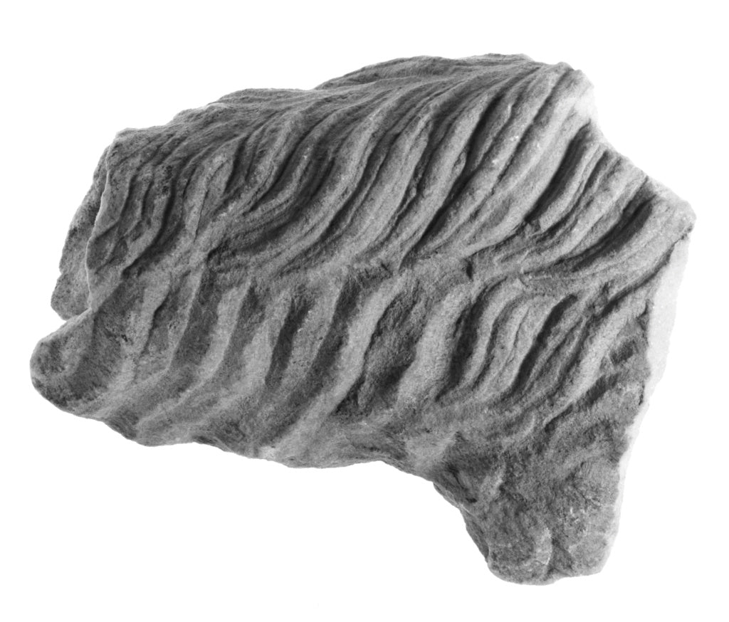 Unknown:Fragment of a Sculpture: Animal Leg, Poster Print Wall Art