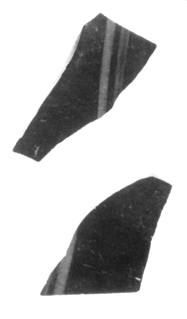 Unknown Artist:Attic Black-Figure Oinochoe Fragment (comprised of 2,16x12