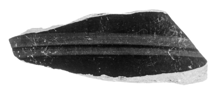 Unknown:Attic Black-Figure Panel Amphora Fragment,16x12