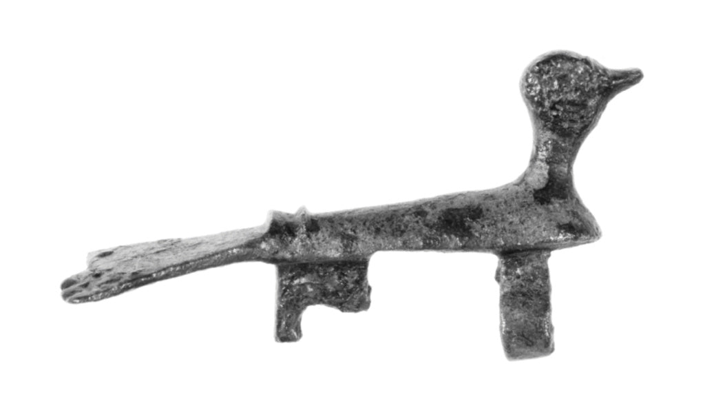 Unknown:Fragmentary Fibula, Poster Print Wall Art