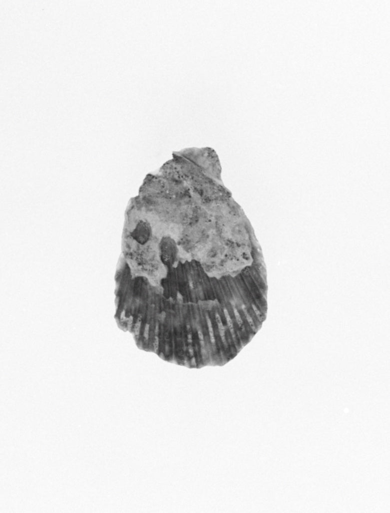 Unknown:Figurine Fragment, Poster Print Wall Art