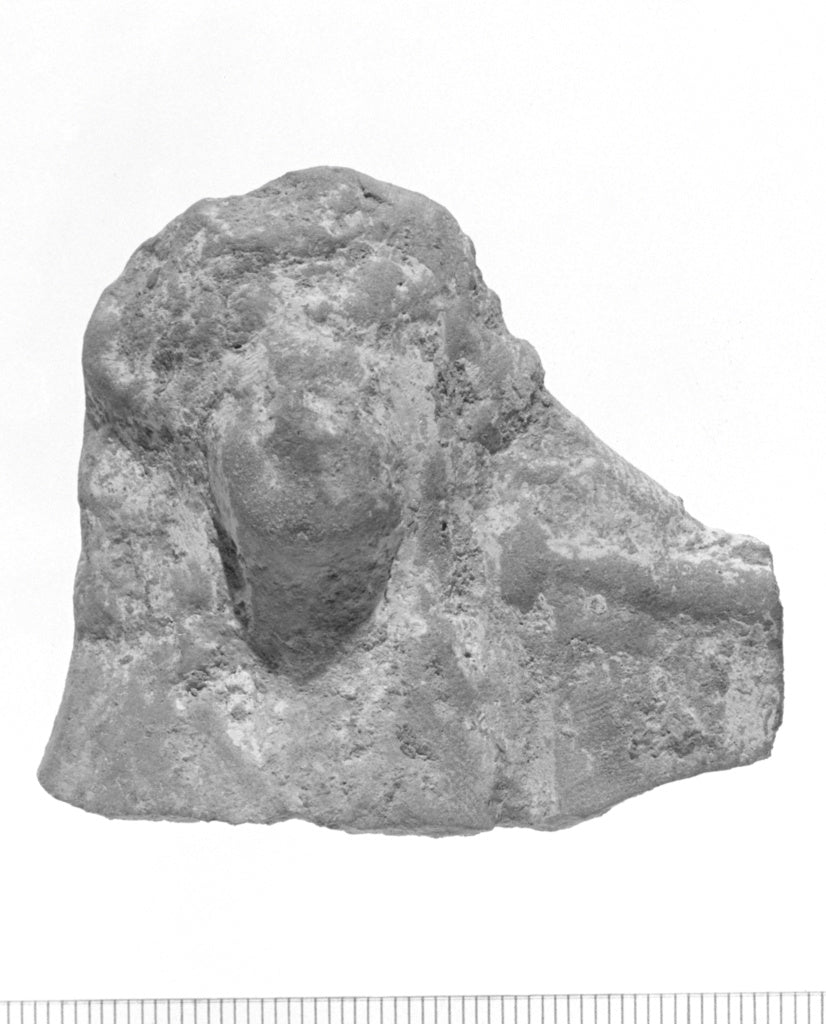 Unknown:Female Head and Shoulders Fragment, Poster Print Wall Art