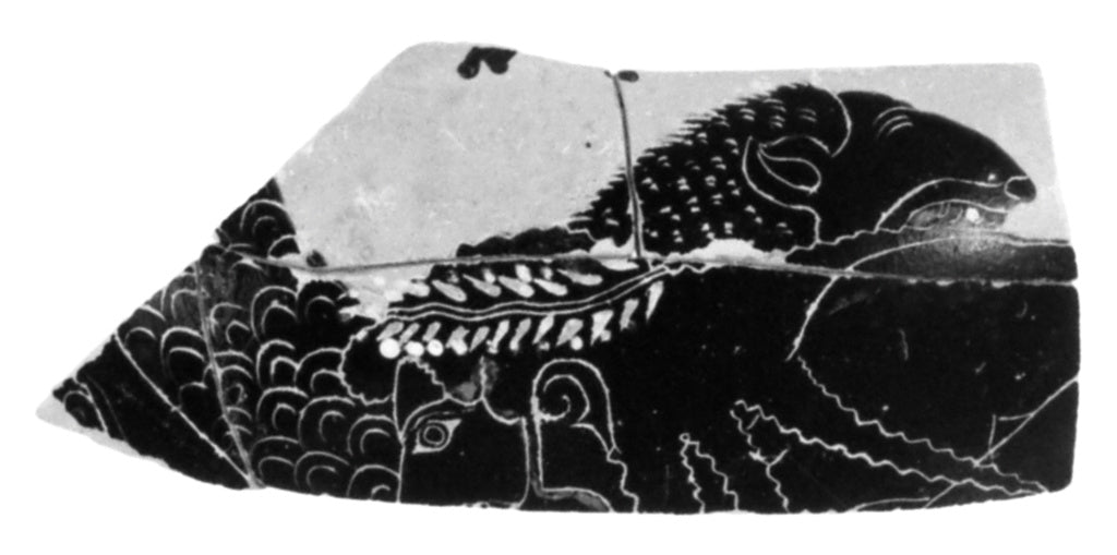 Unknown:Attic Black-Figure Neck Amphora Fragment (comprised , Poster Print Wall Art