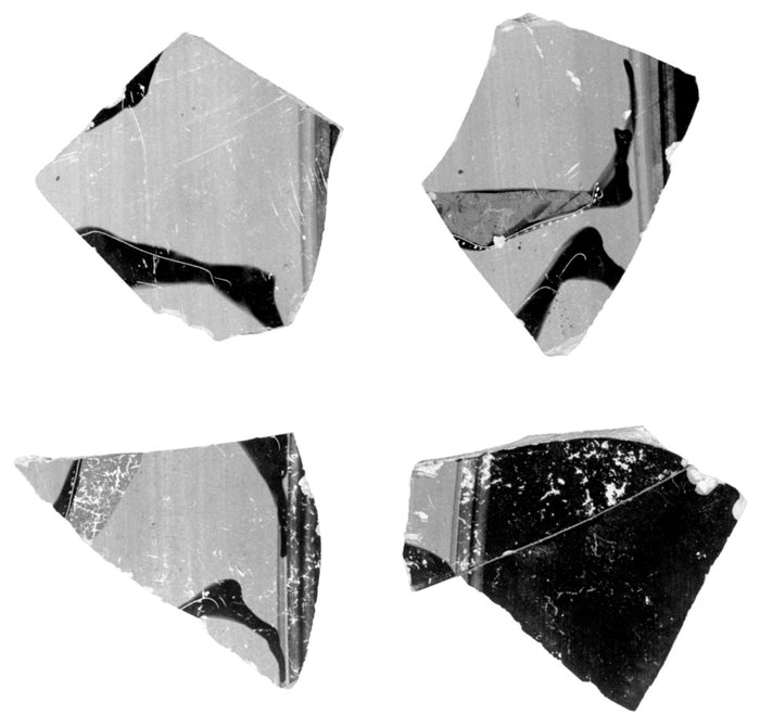 Unknown:Attic Black-Figure Neck Amphora Fragment,16x12