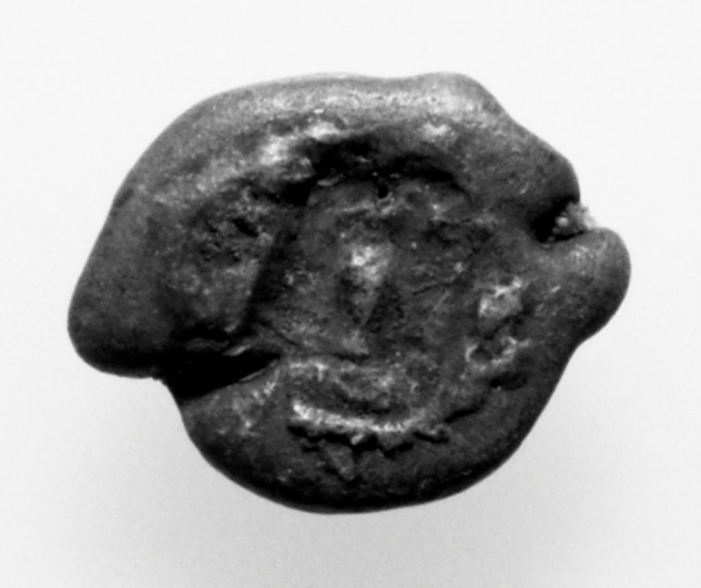 Unknown:Seal, Poster Print Wall Art