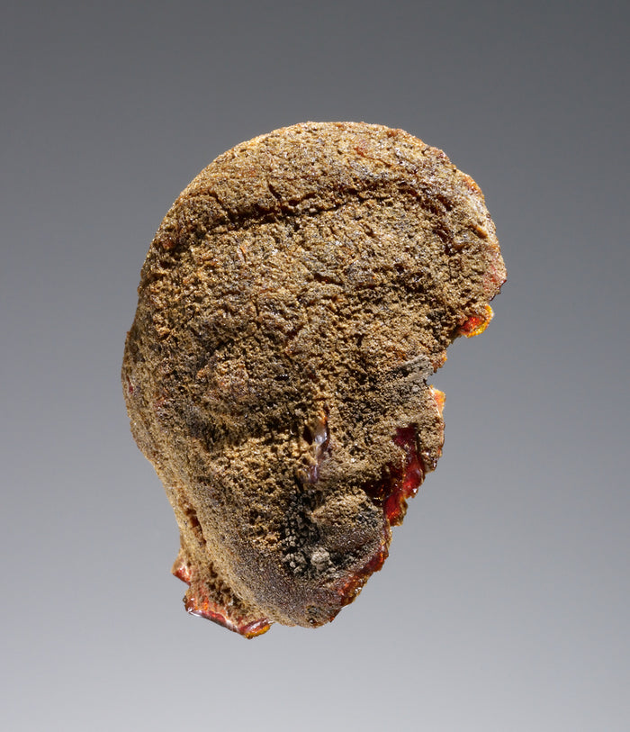 Unknown:Pendant: Head Fragment from a Standing Female Figure,16x12